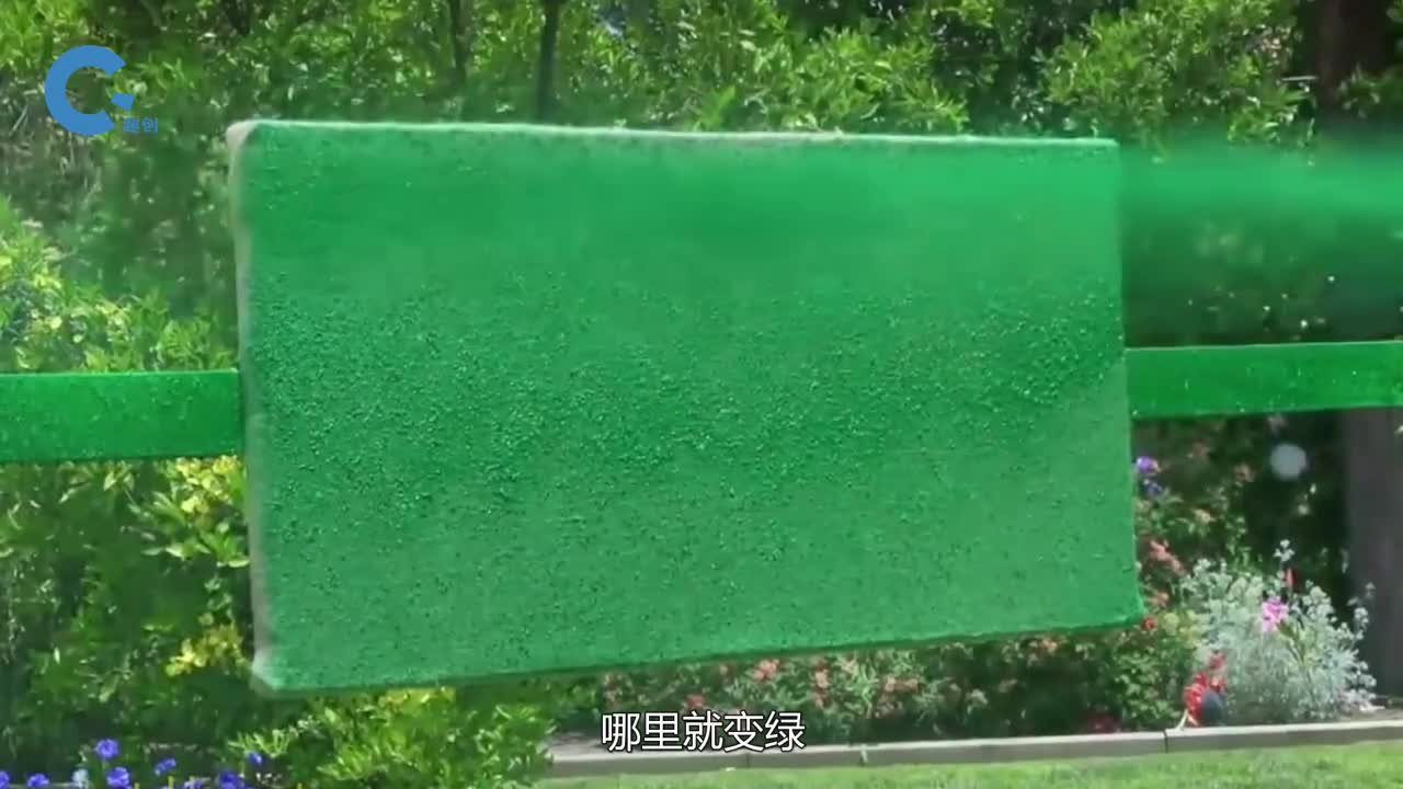 神奇的液态草坪一喷就能长草堪称绿化神器