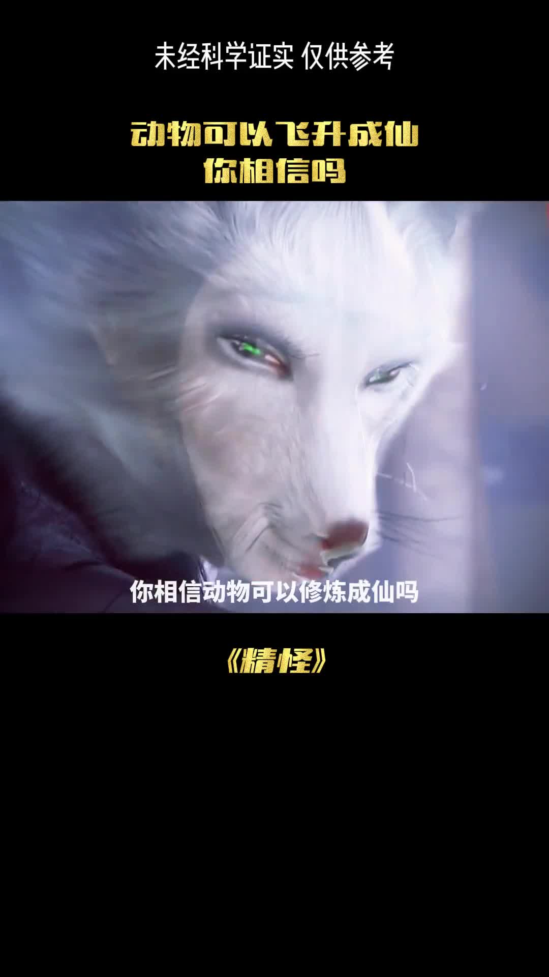 你相信动物可以成仙吗