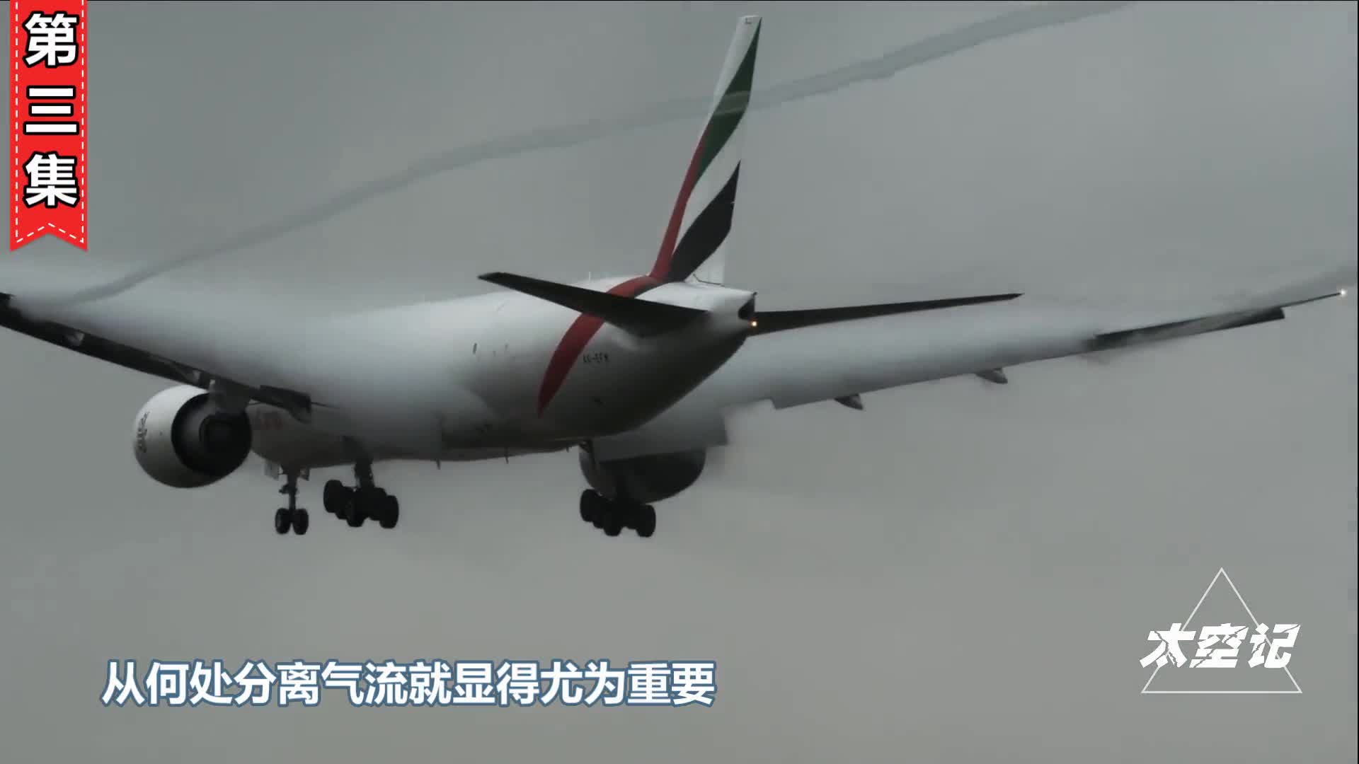 俯冲时速高达389千米比高铁速度还快游隼是如何做到的