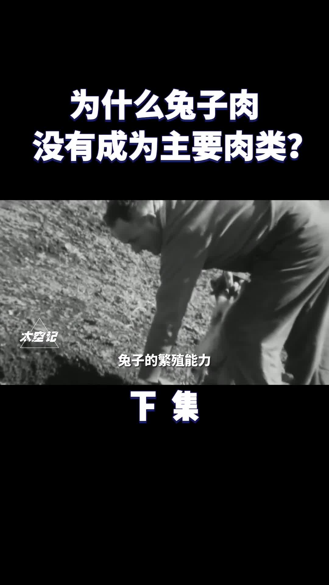 兔子繁殖能力惊人为什么兔肉没成主流美食