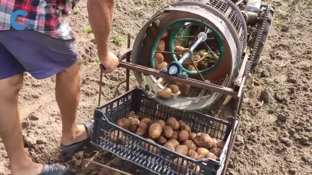 农民发明土豆收割机在滚筒装置内转一转收割上来的土豆不沾土