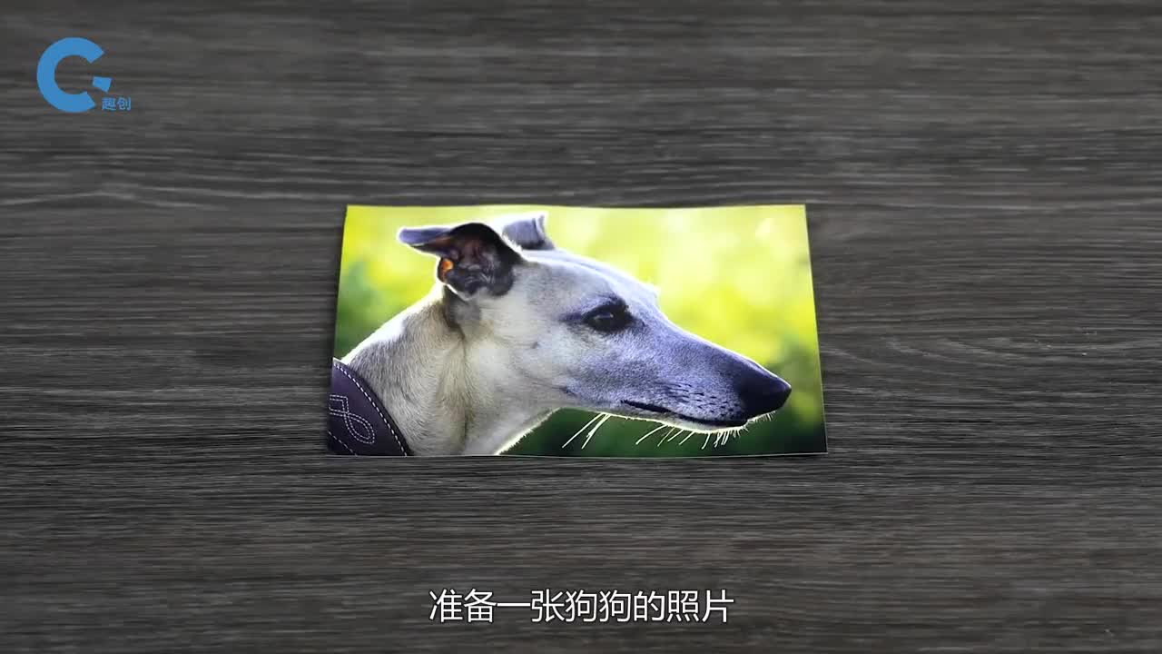 神奇的视觉错觉将相片放入碎纸机中不可思议的现象发生了