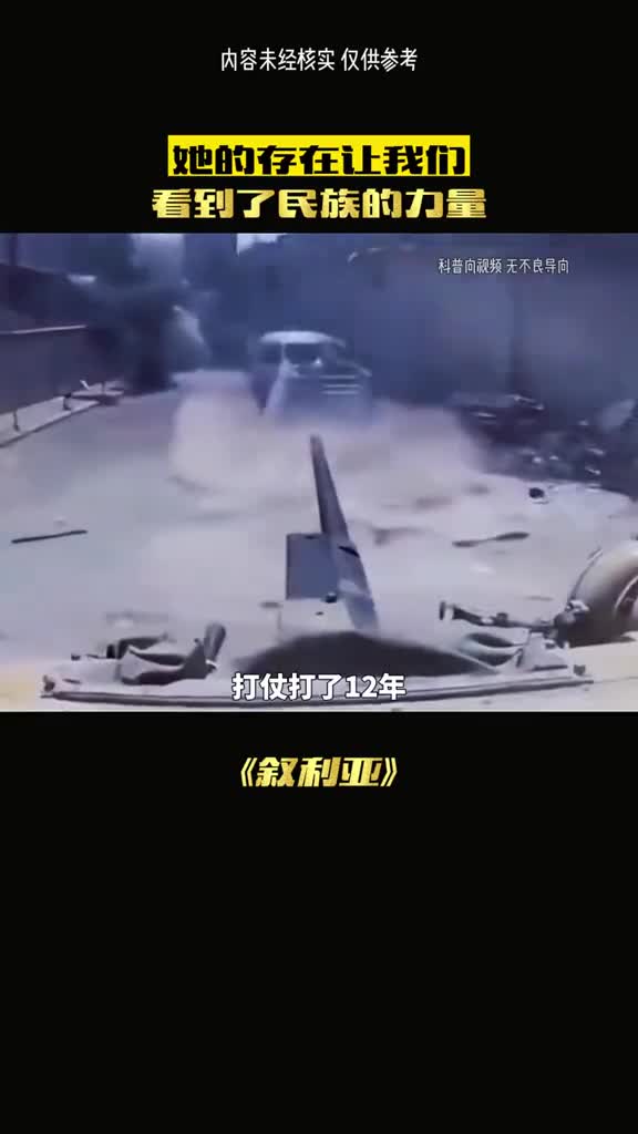 一带一路后叙利亚是最开心的吧