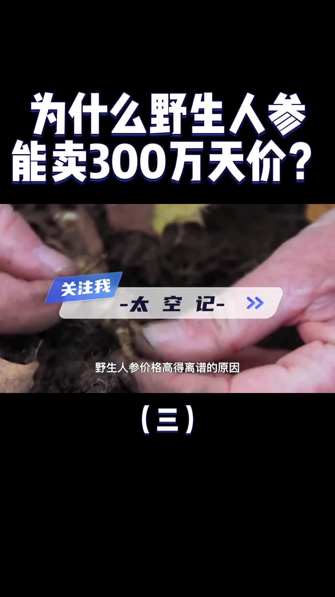 为什么野人参能卖300万天价而人工的论斤卖到底谁是智商税