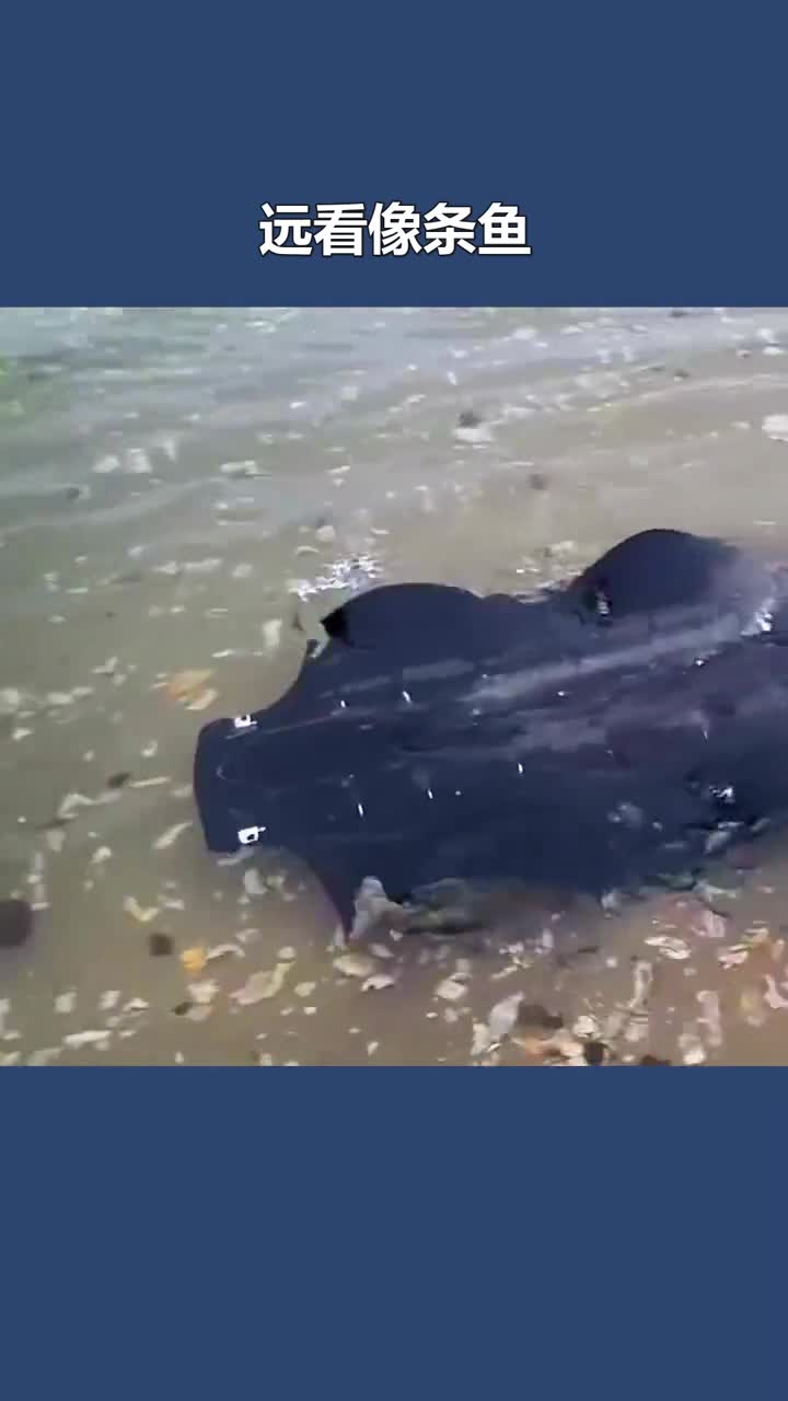 长得像鱼的机器人