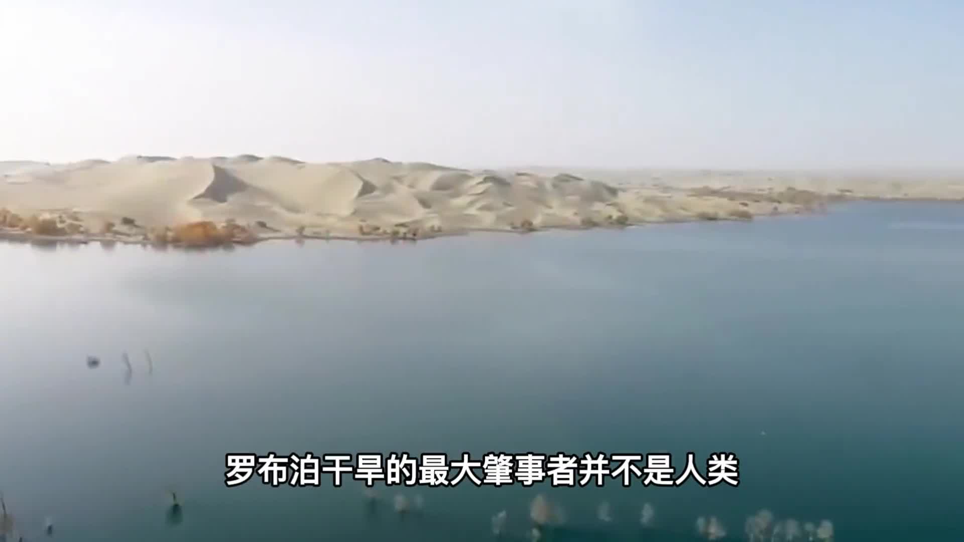 新疆塔克拉玛干沙漠地下水为什么不能开采看看后果就明白了