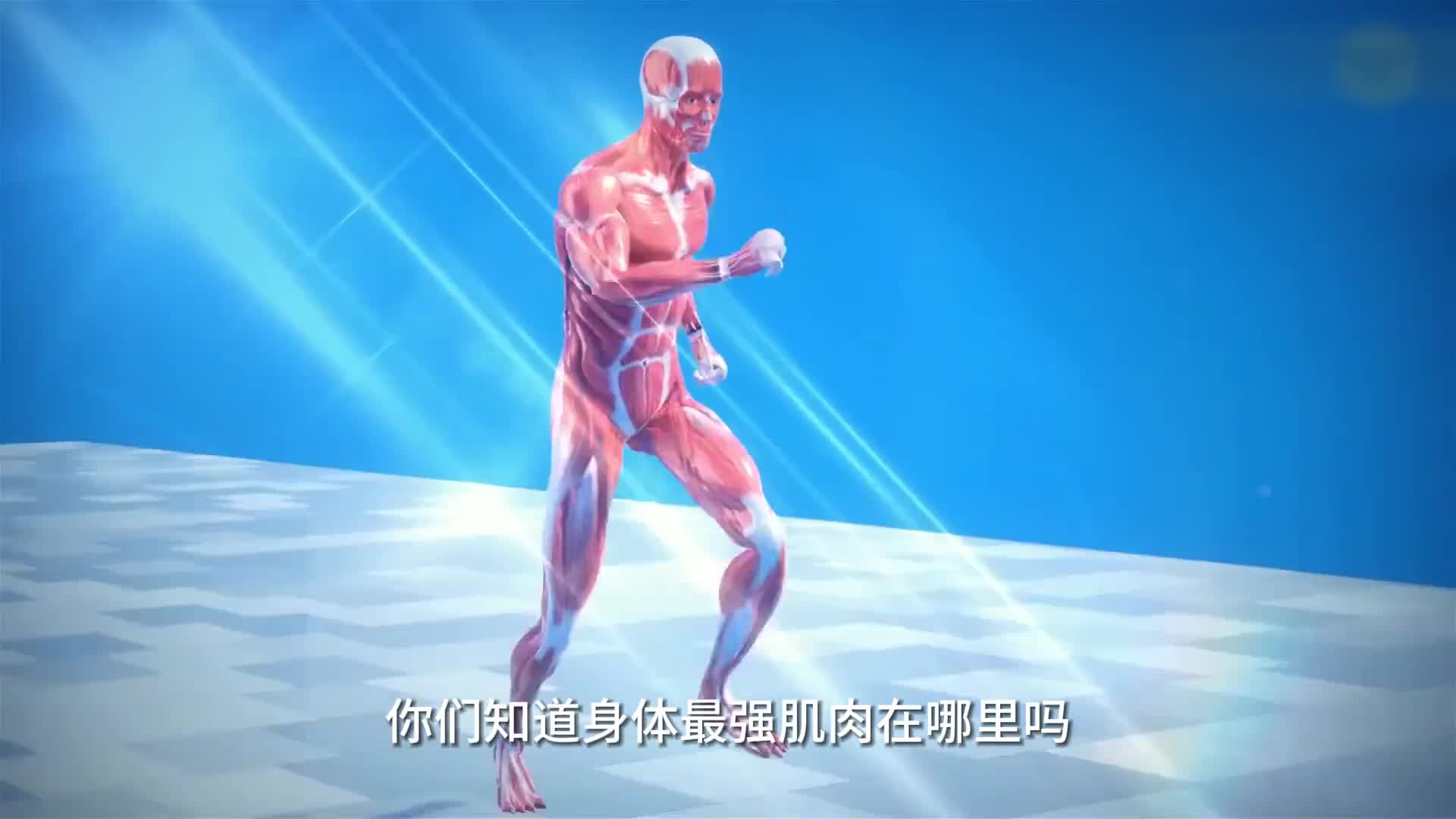 人类最强肌在哪里