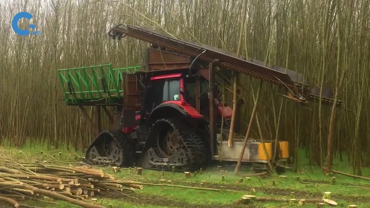 如何机械化收割小树切断后直接粉碎成碎屑