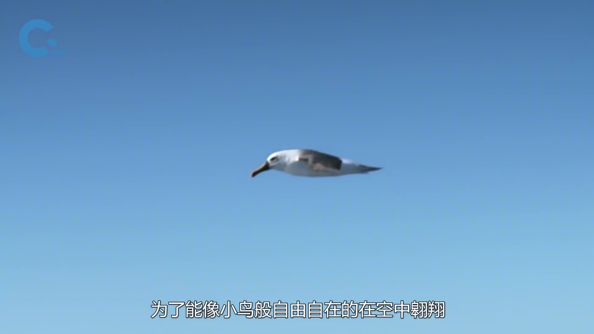 国外大叔发明纯人力飞机不耗油不费电起飞全靠两条腿