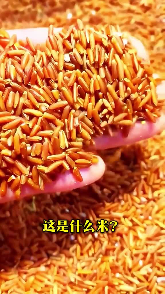 大漠科普分享22种不同种类的米你认识几种知道零售价格吗