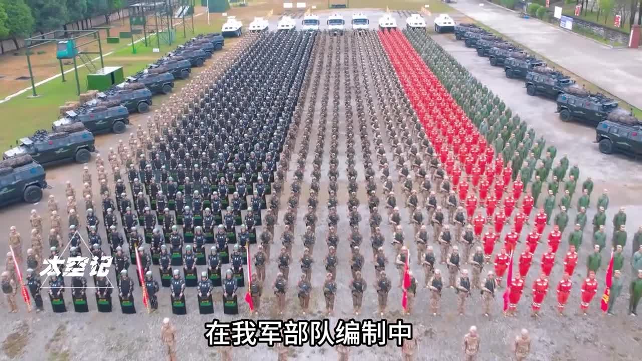 番号与代号有何不同特殊的代号背后又有怎样的历史