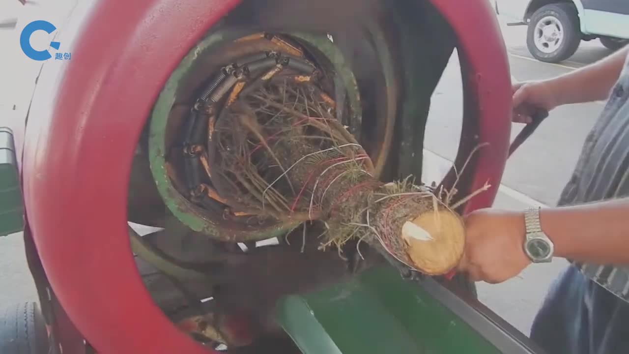 国外发明圣诞树打包机绕着树干转圈捆绑