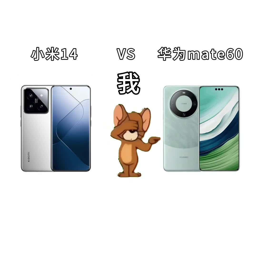 犹豫一秒都是对mate60的不尊重