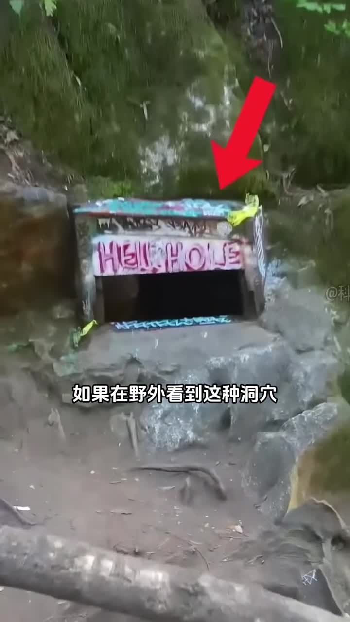 自然界中的死亡洞穴千万不要因为好奇进去