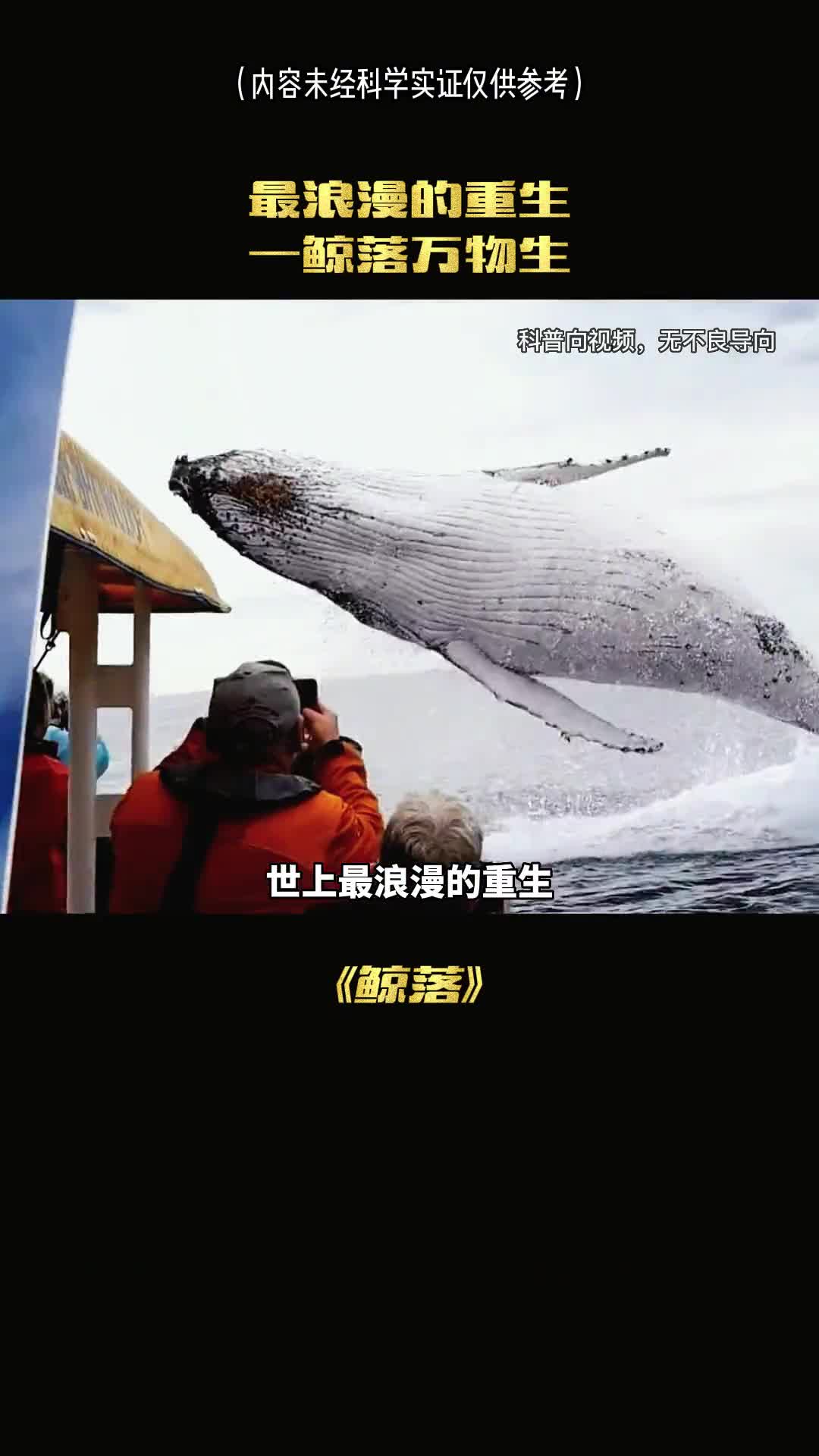 世上最浪漫的重生一鲸落万物生