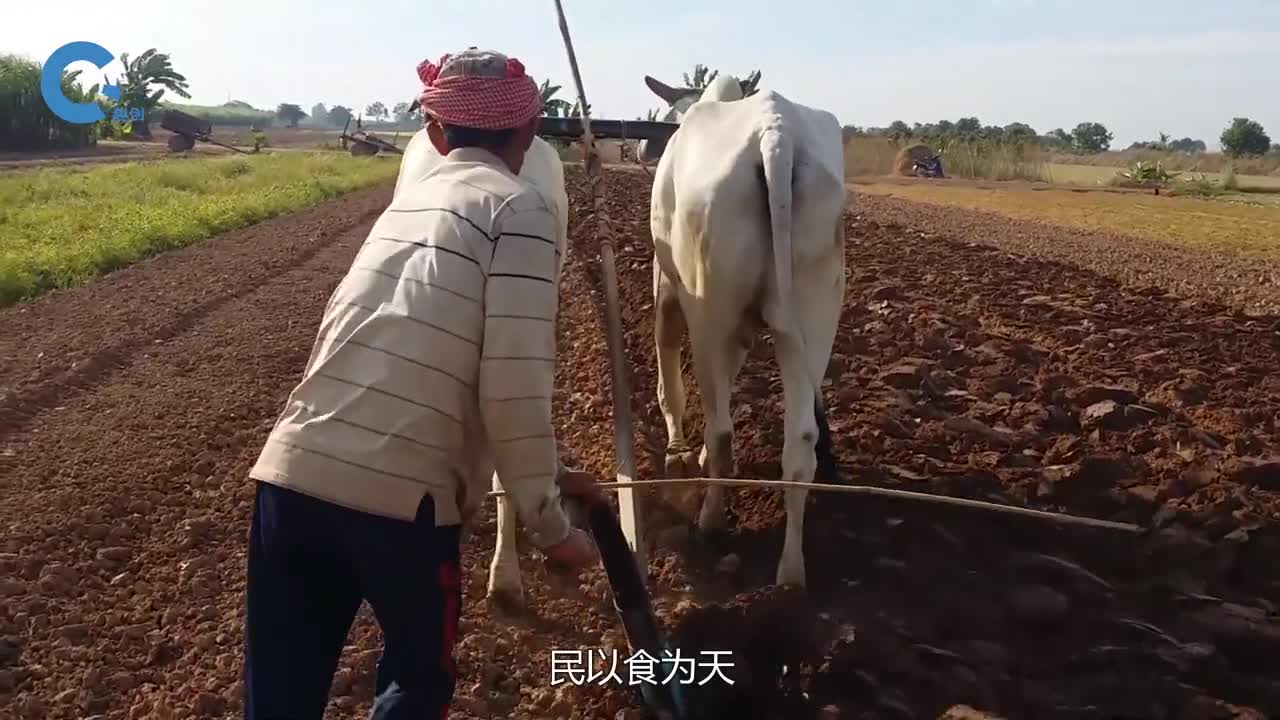 大学生发明水稻收割机全自动收割打包一天割15亩地