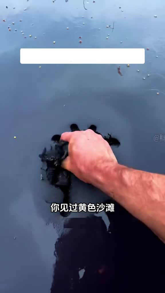 神秘的黑色沙滩