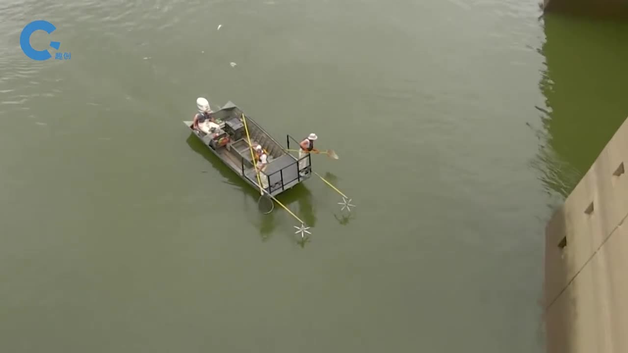 美国人是如何解决亚洲鲤鱼泛滥的在水底建立电网