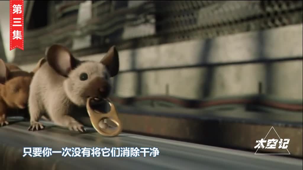 老鼠也会记仇吗真实案例科学分析告诉你真相