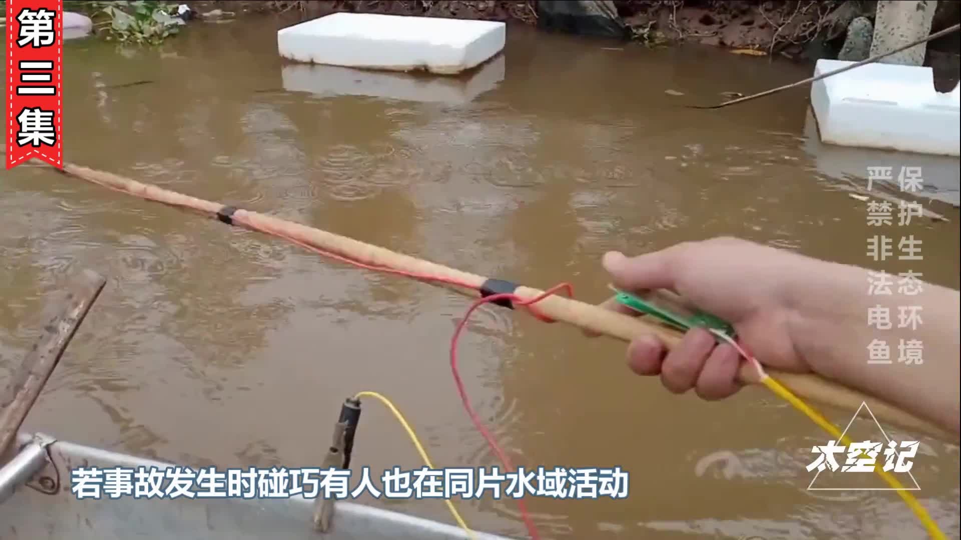 为什么国家要禁止电鱼看看危害就明白了