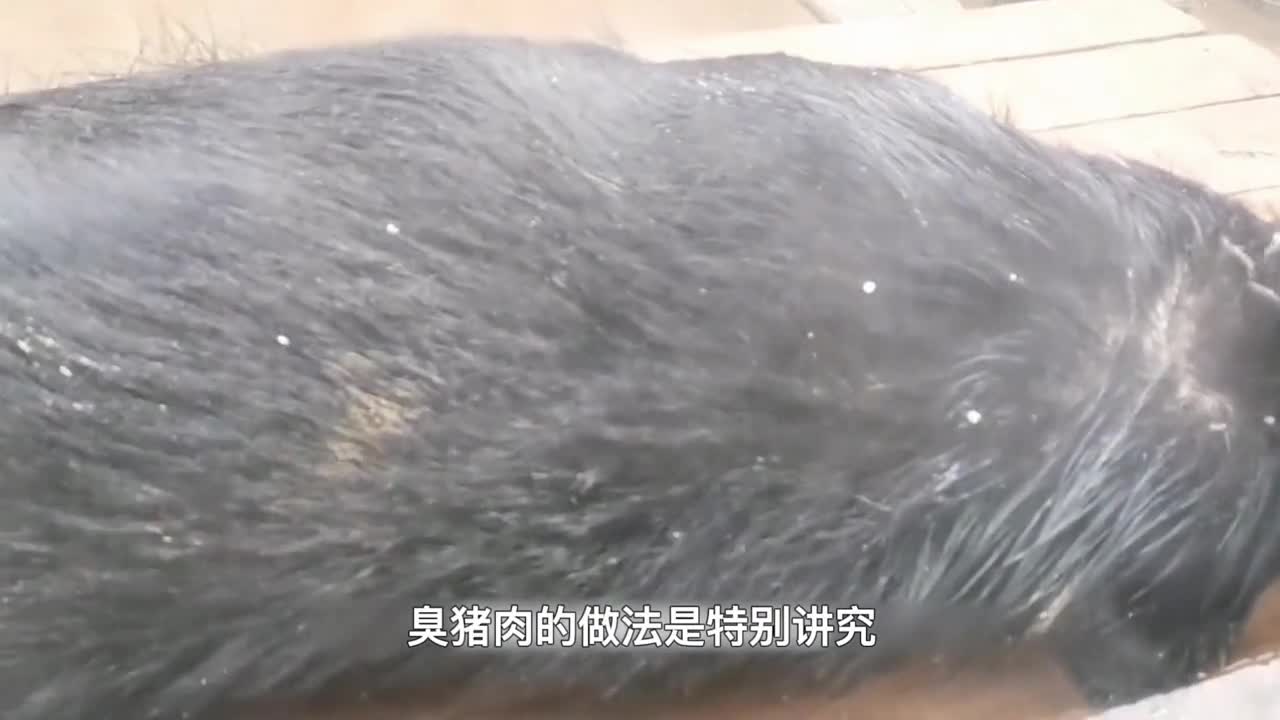 死猪挂房梁30年成美食出价56万都不卖神奇的四川臭猪肉