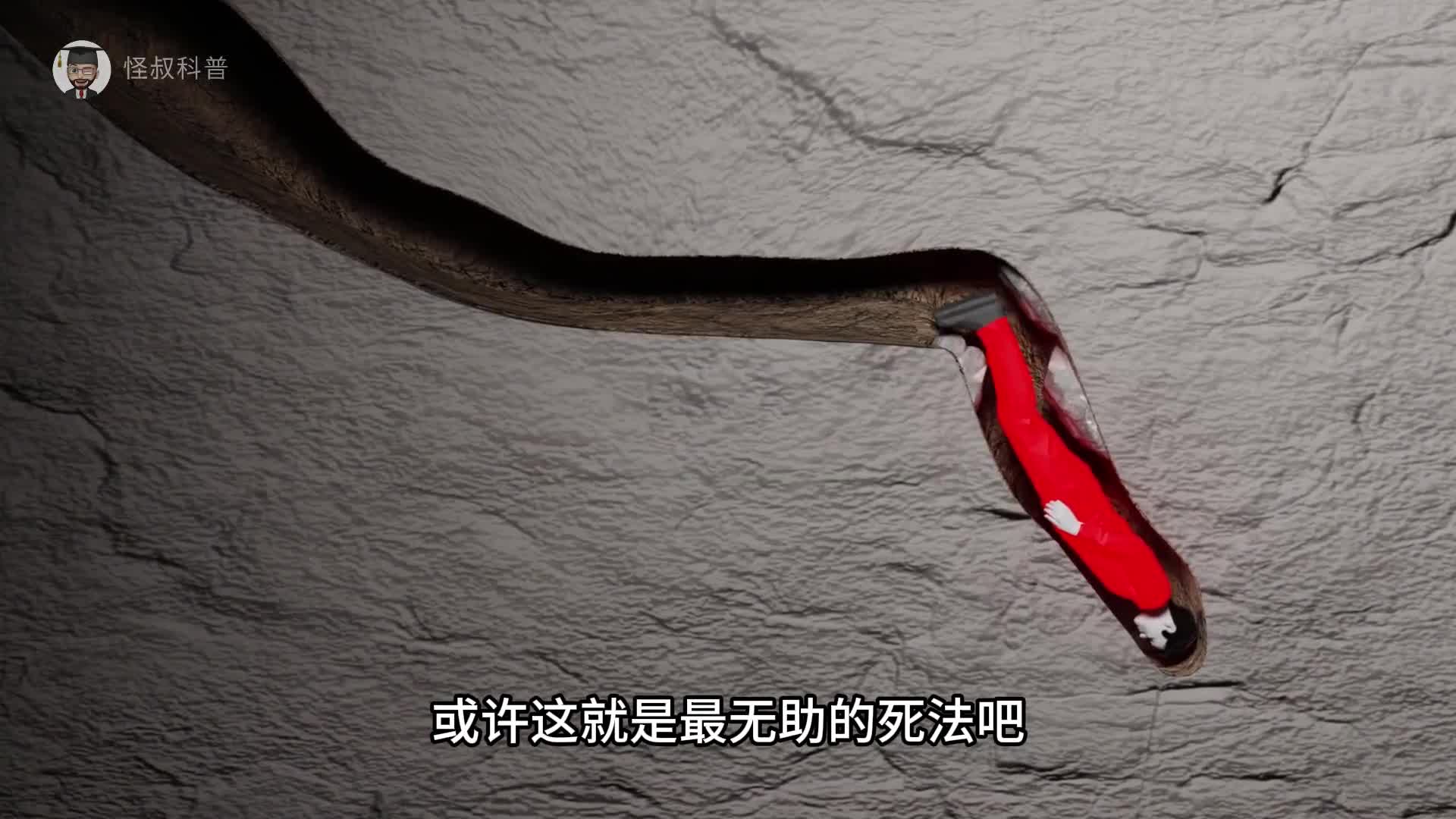 或许这就是最无助的死法吧