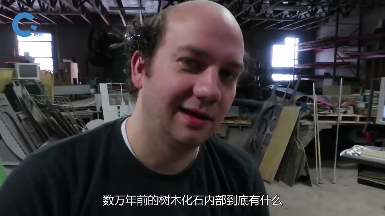 数万年前的树木化石里长啥样用水刀将其切开粉色的东西是啥