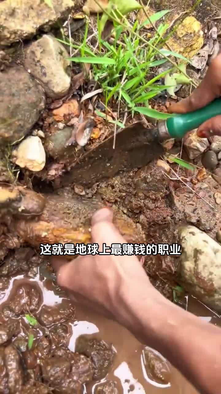 世界上最赚钱的职业淘金猎人