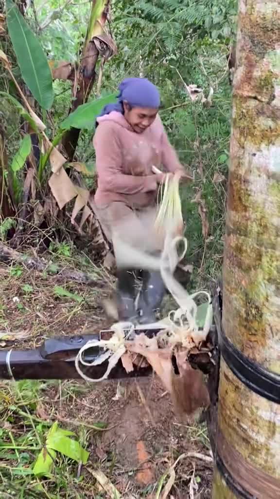 蕉麻的加工过程特别的解压