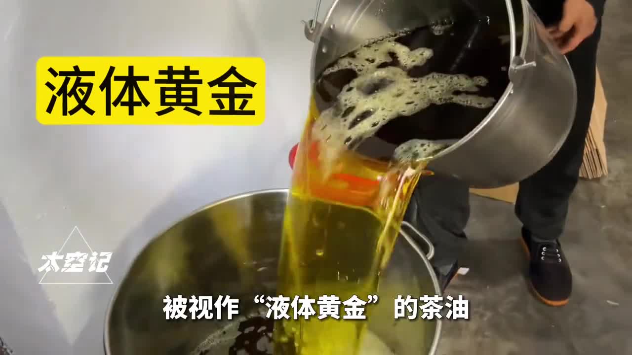 油中之王茶油为何现在很少有人吃了