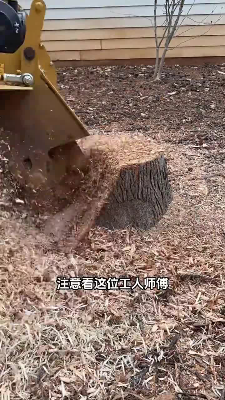 为什么要将树桩磨碎有哪些清除树桩的办法