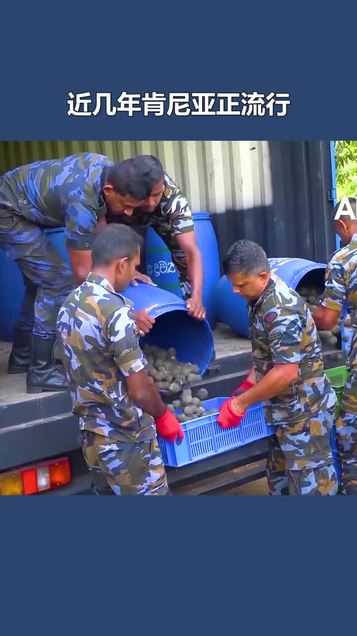 肯尼亚尝试种树新方法到处播撒黑色小球总数超百万颗