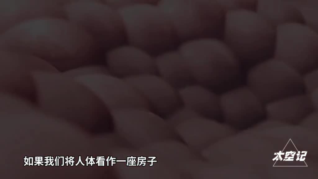病毒与人类有仇新型冠状病毒入侵人体目的是为了杀死人类吗