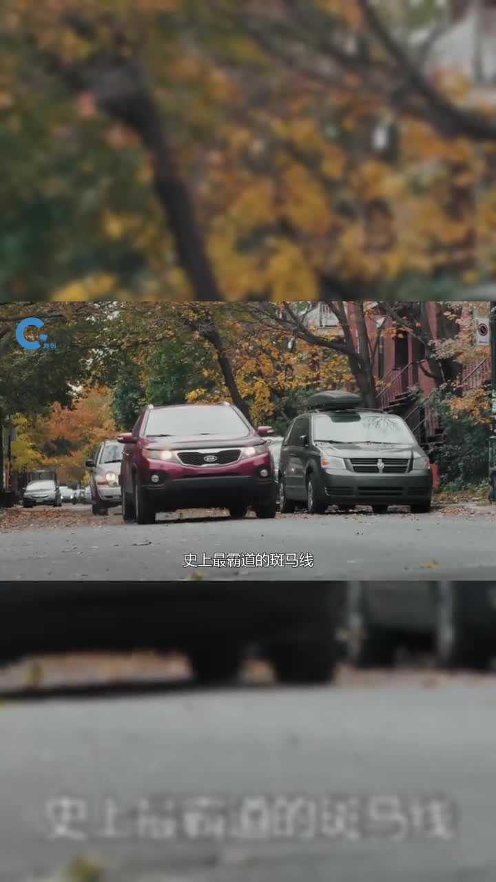 史上最霸道的斑马线专门与司机叫板你觉得靠谱吗