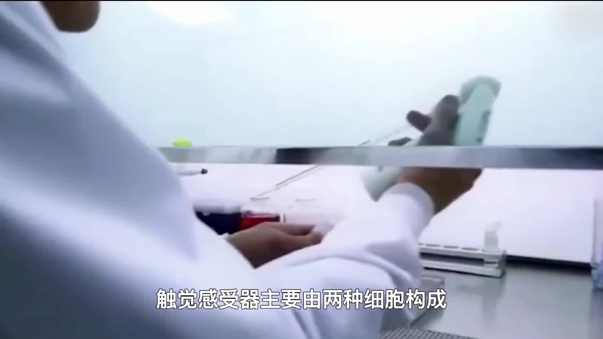 人体最诡异的器官一碰就发痒是超能力还是进化优势