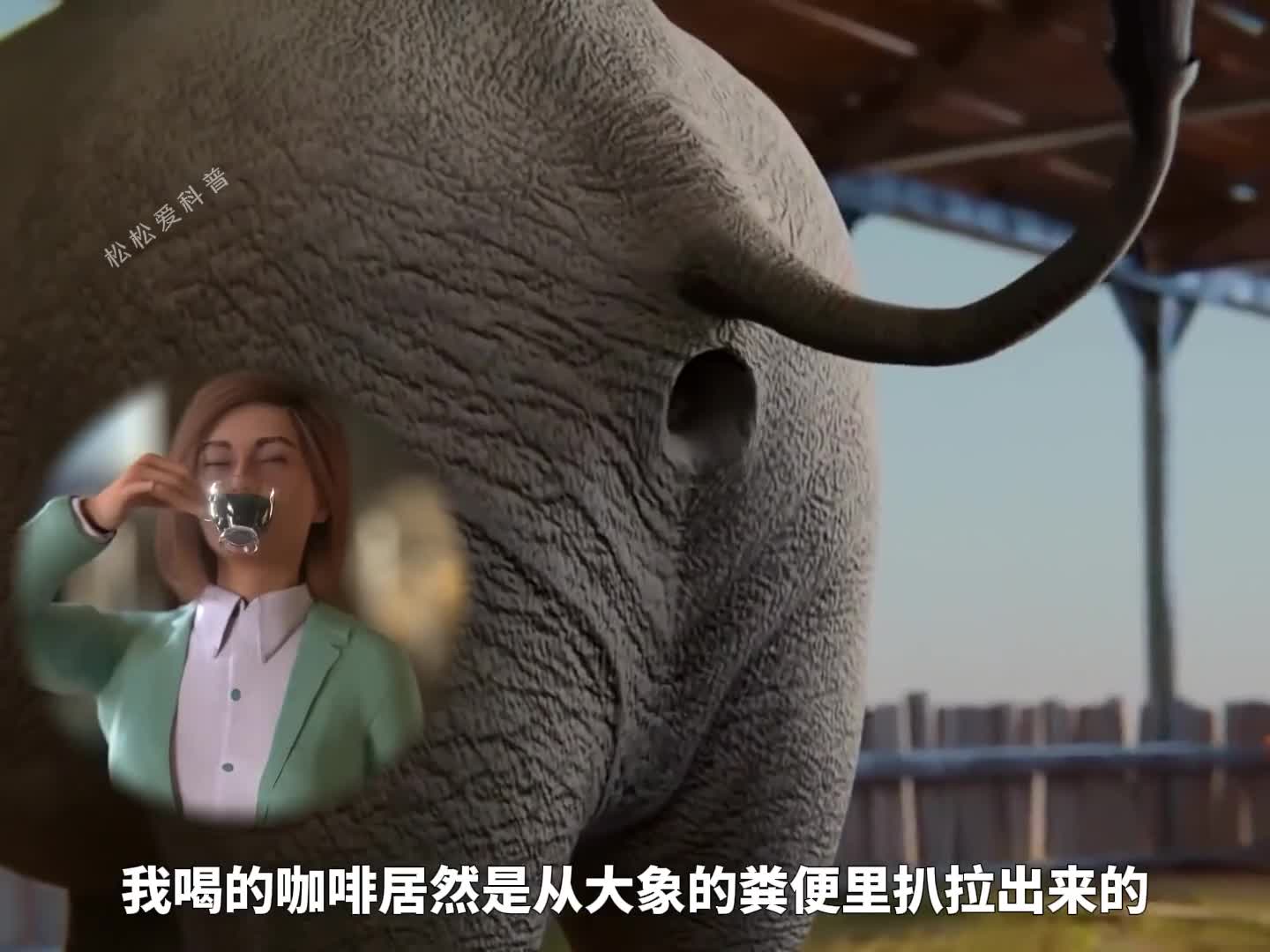 这么好喝的咖啡居然来自便便