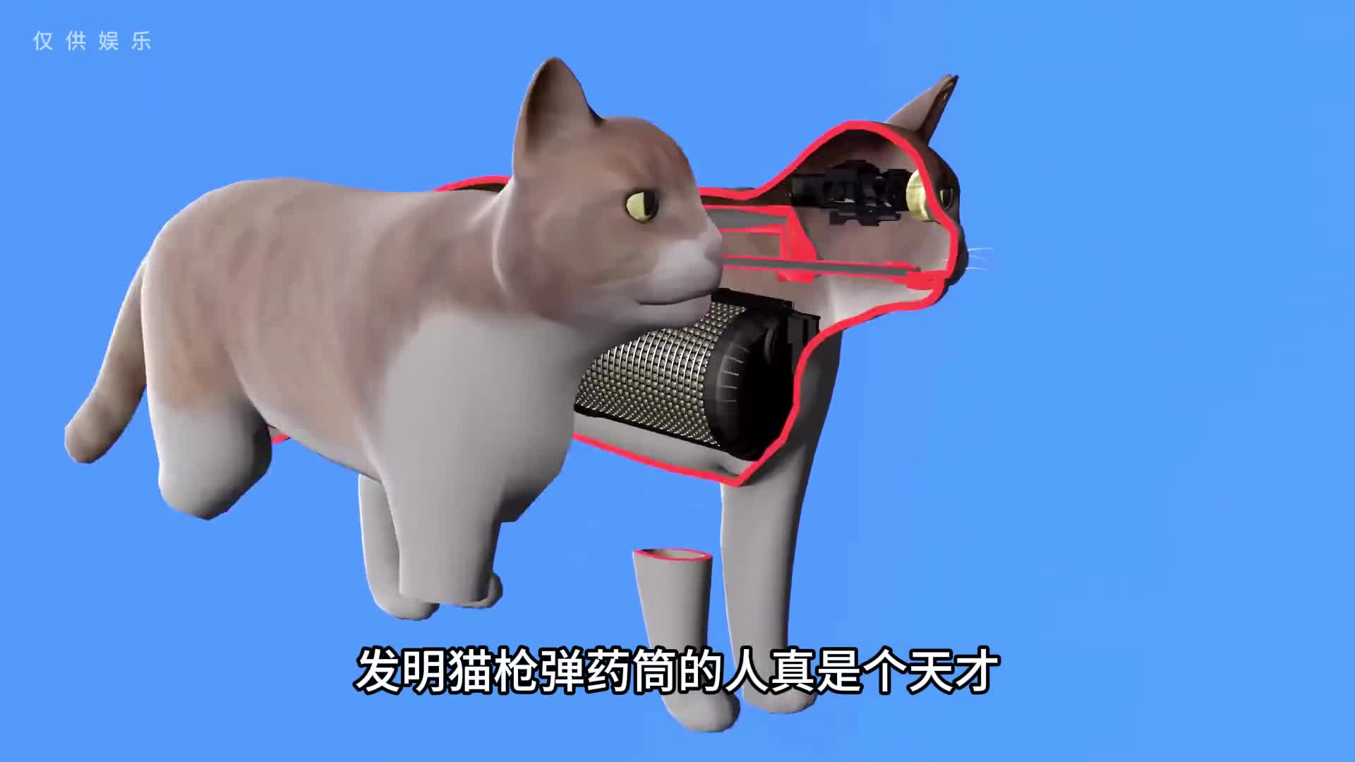 发明猫枪的人真是个天才