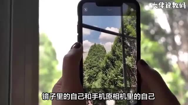 镜子里的自己和手机原相机里的自己哪个更真实