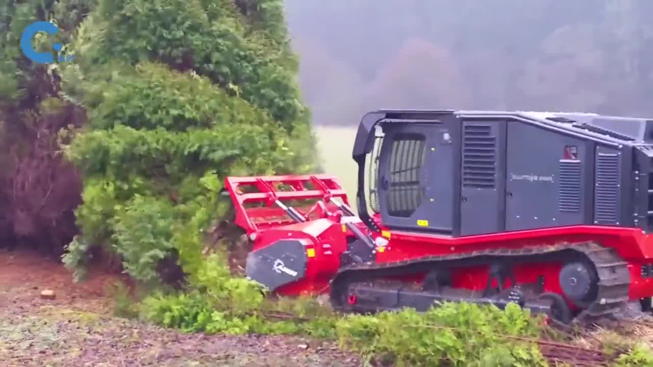如何机械化清理无用树木旋转滚筒先推倒大树再原地粉碎成木屑