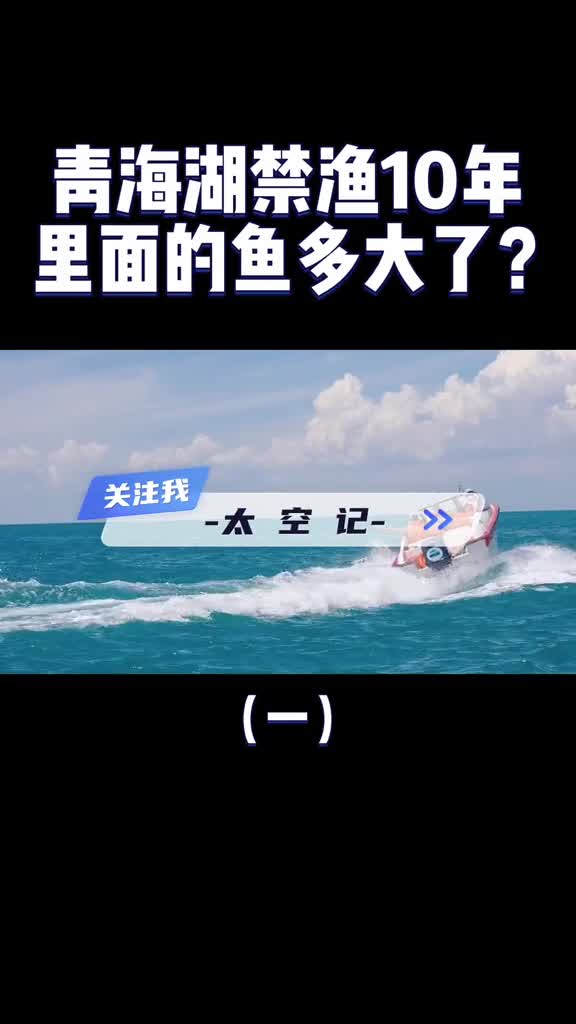 最大咸水湖青海湖一年出鱼5000万斤禁渔10年最大的鱼有多大