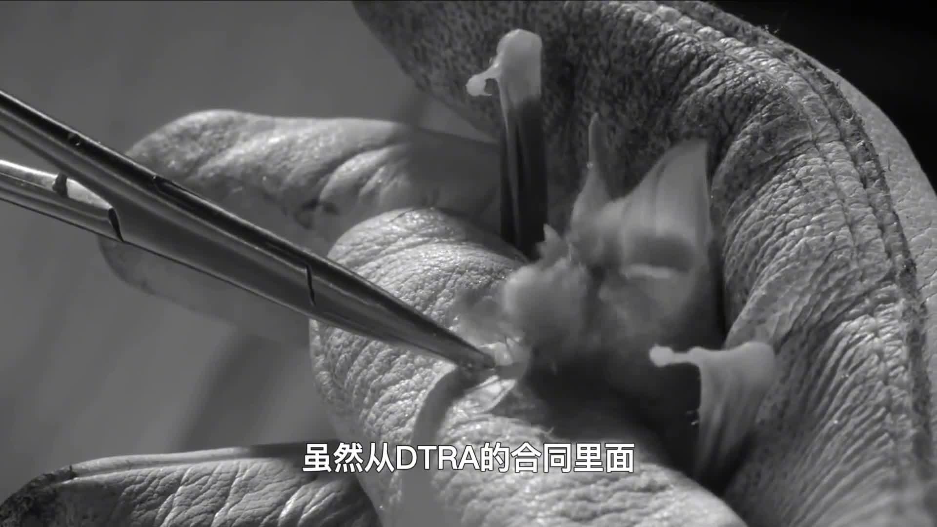 5629份机密文件被披露美国全球建生物实验室真在造生化武器