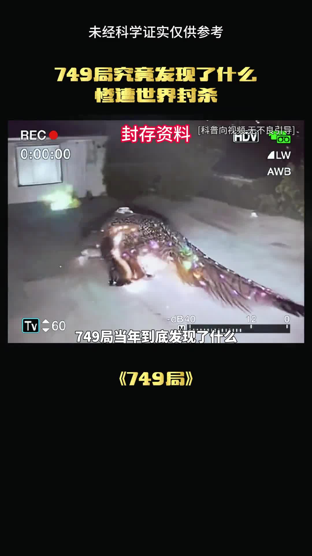 749局有什么秘密