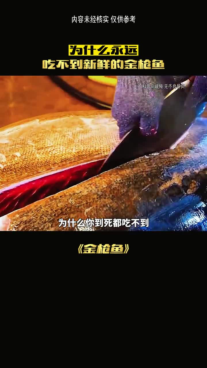 为啥金枪鱼都是冻着的