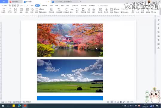 wps版word文档中插入的图片如何批量调整尺寸