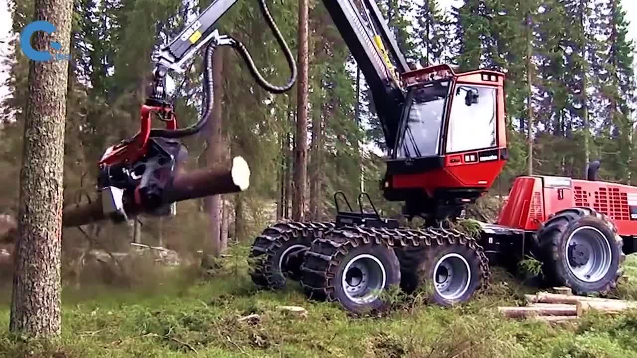 神奇的一体化伐木机不仅能去除表面树枝还能把树干均匀切段
