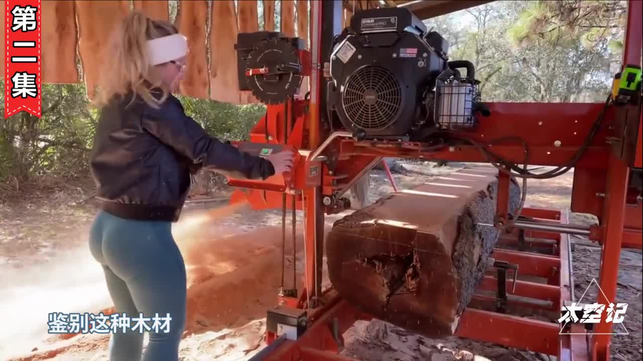 乌木到底是何物为何总能卖出天价