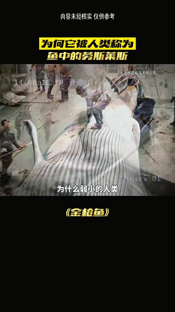 人类为何是地球的至尊呢