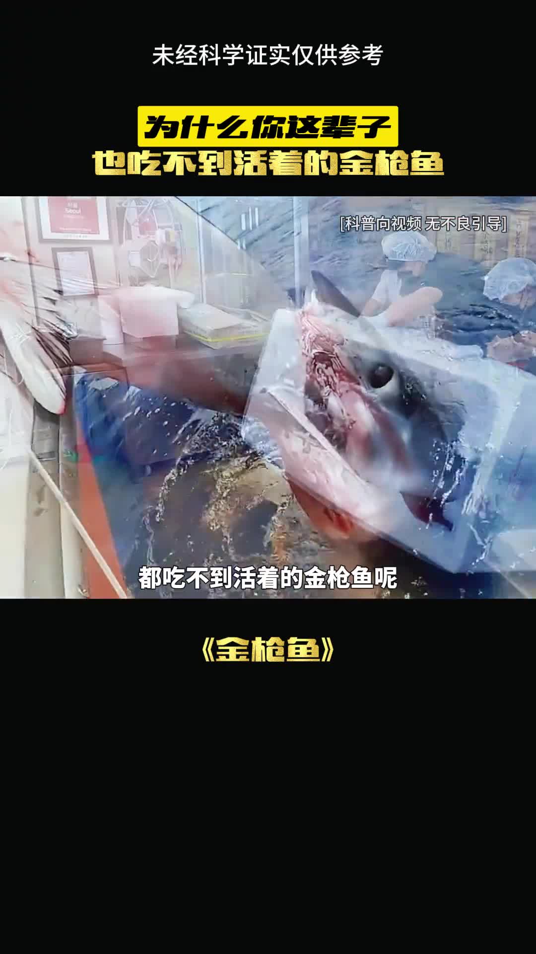 为什么你见不到活着的金枪鱼