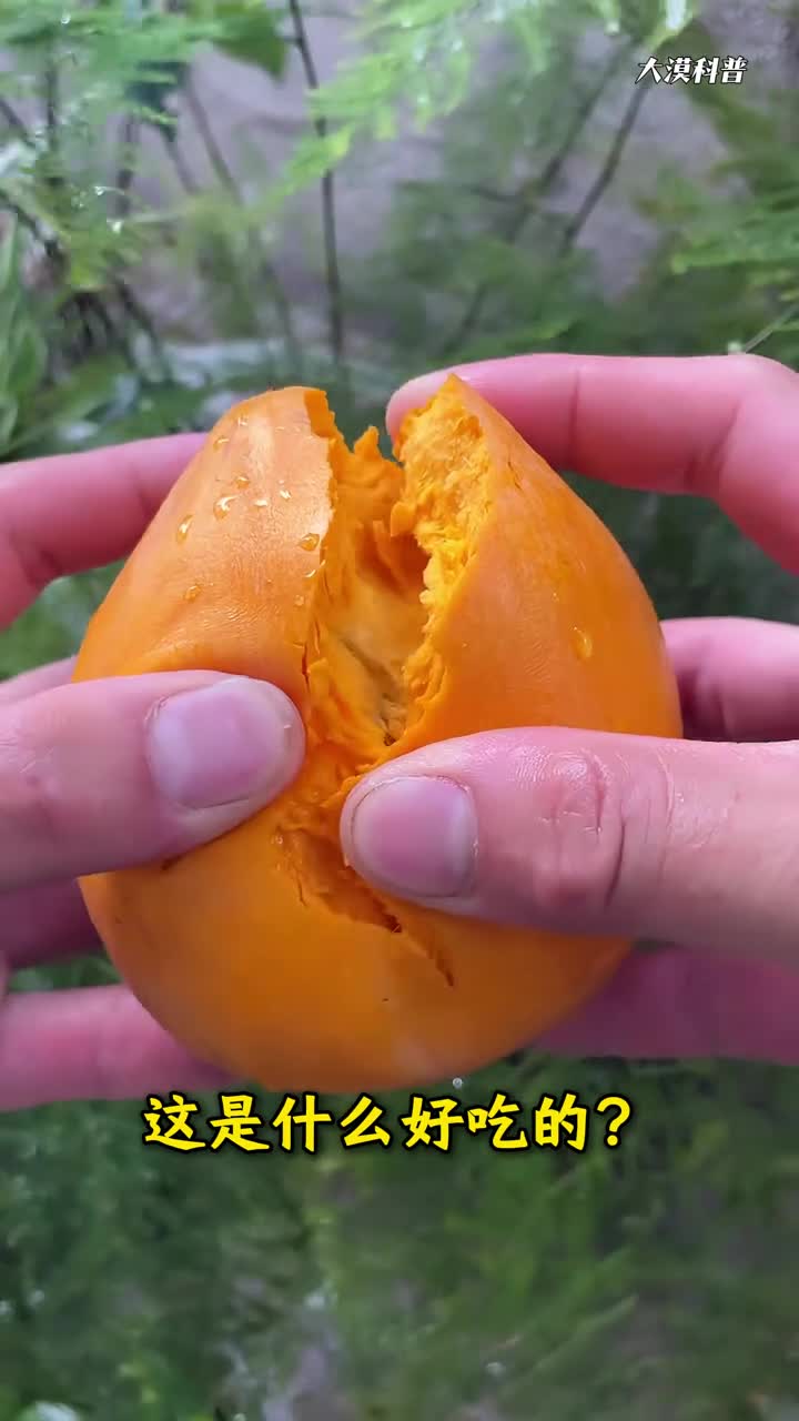 吃货看过来17种稀有美味水果口味测评有没有你喜欢的那一款