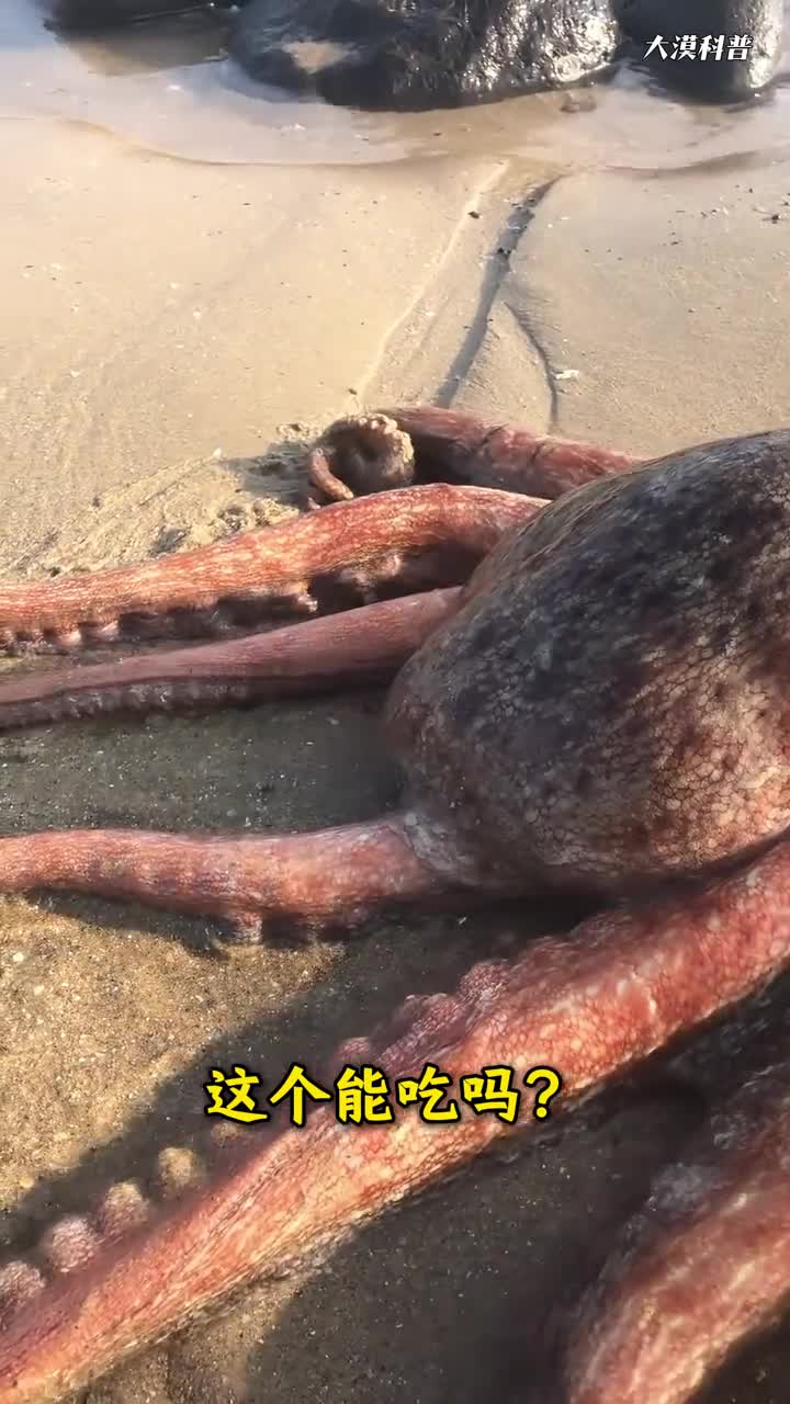 科普6种外表极其相似毒性却天壤之别的6种食物注意别误食